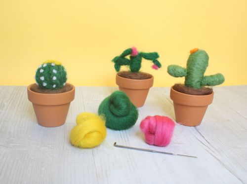 Mini Cactus Needle Felting Kit
